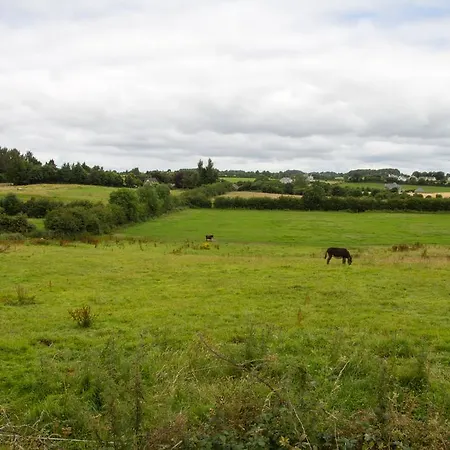 Abbey View 4* Nenagh